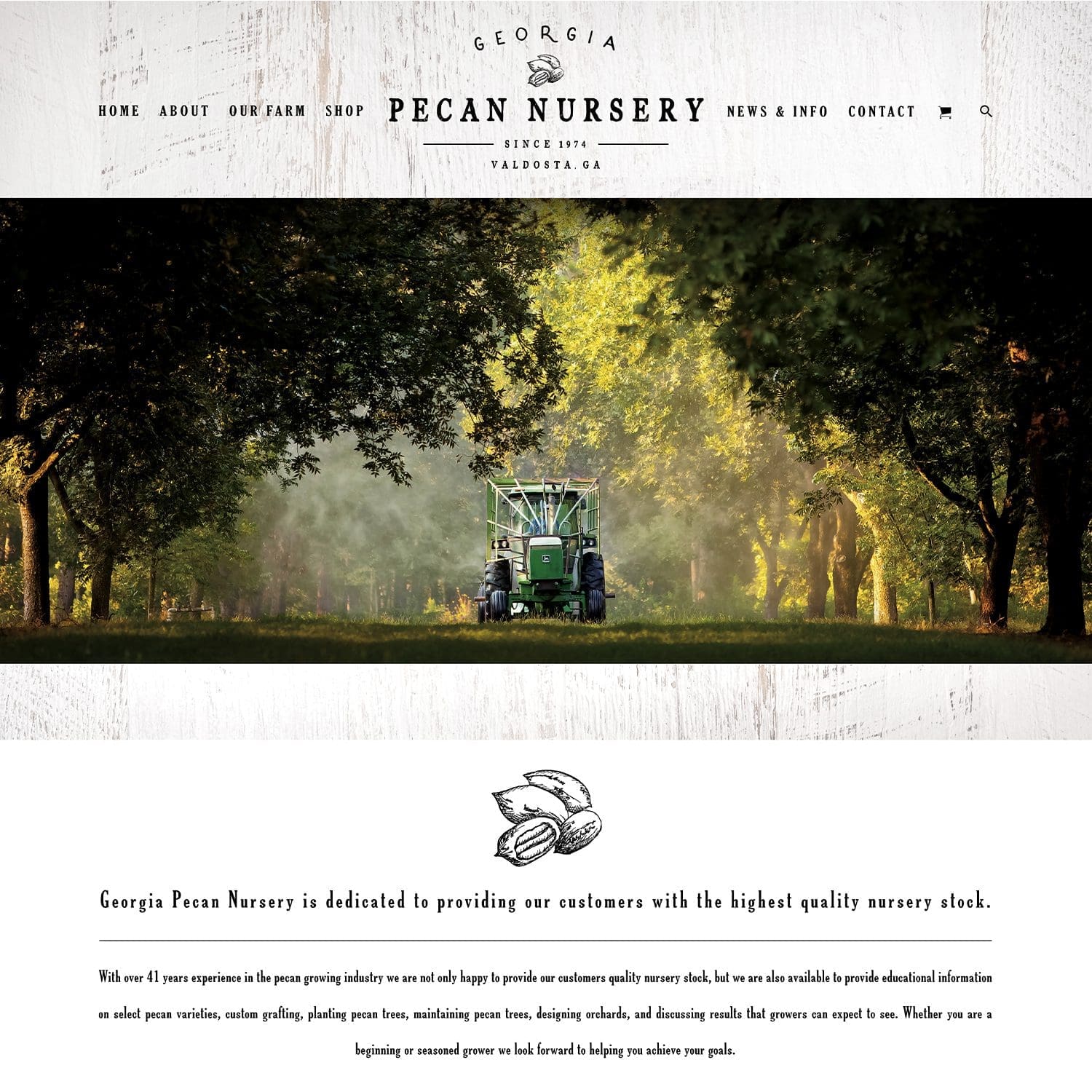 pecan nursery sales website - JLB, Best Web Design and Web Development Company in Nashville, Brentwood, and Franklin