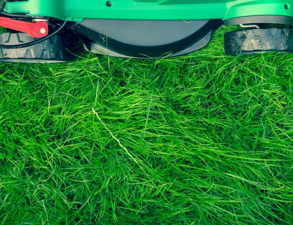 SOUTHERN ACRE | Nashville TN Digital Marketing