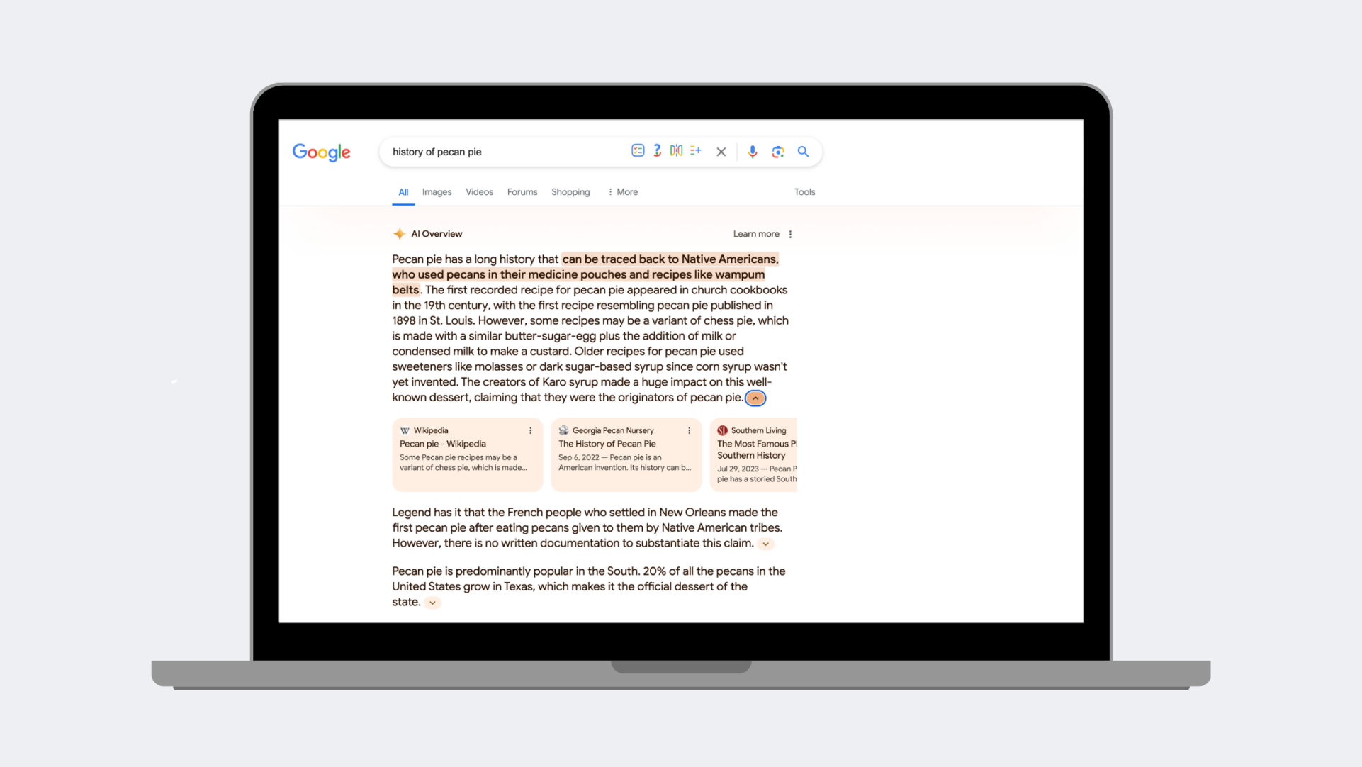 AI Overviews - Nashville Google Search Feature