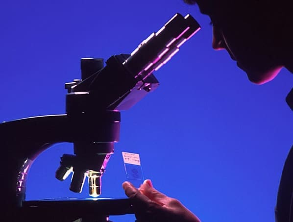 TRIBAL HEALTH - Nashville Digital Marketing